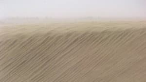 Evil spirits of the desert