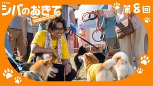 Episode 8