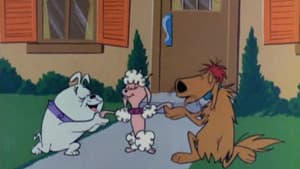 Poodle Pandemonium