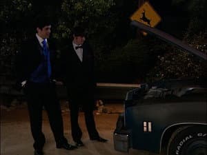 The Wedding