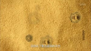 Buddhism in the Wei and Jin Periods