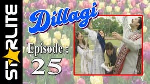 Episode 25