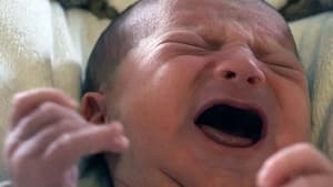 Why Do We Cry?