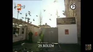 Episode 3 [E29]