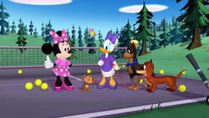 A Walk in the Park