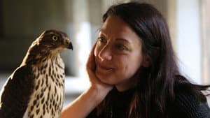 H is for Hawk: A New Chapter