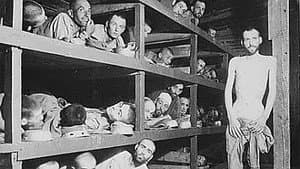 Holocaust on Trial