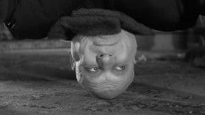 Fester's Punctured Romance