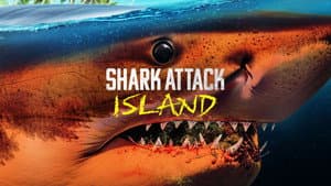 Shark Attack Island