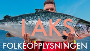 Laks
