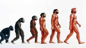 The Extraordinary Story of Man (2) (Second Version)
