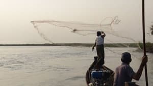 Fishing with Dolphins: Myanmar