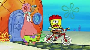 Bike Safety Tips
