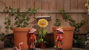 The Hottest Day