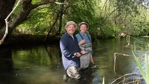 Wild Brown Trout: River Itchen, Hampshire