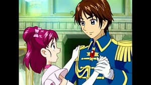 Pretty Cure 5's Cinderella Story