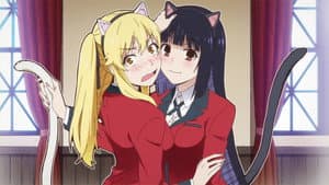 Nekomimi Academy Hyakkaou