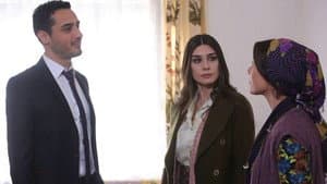 Episode 19