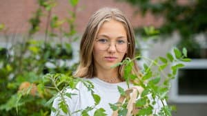 The Environmental Battle