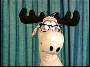 Dear Bullwinkle