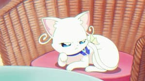 Nyanfluencer Mayu
