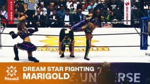 Marigold Shining Attack 2026 ~ Day 2