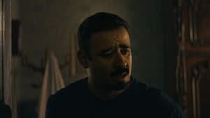 Aamir