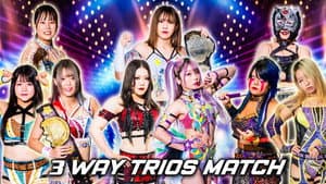 Stardom Cinderella Tournament 2024 in Himeji