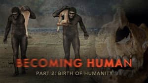 Birth of Humanity