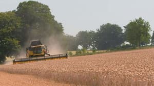 Harvest Special