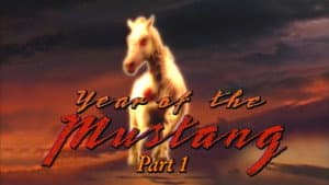 Year of the Mustang, Part 1