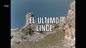 The Last Lynx