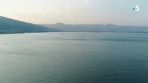 The tea route