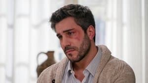 Episode 248