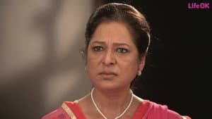 An Article On Shobha