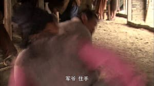 Episode 26