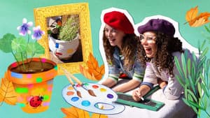 Art-scaping