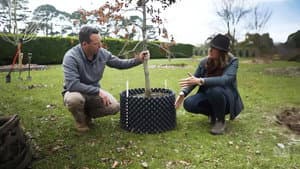 Episode 18 Planting Trees, Native Climbers & Kiwi Prune