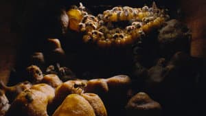 The Hive