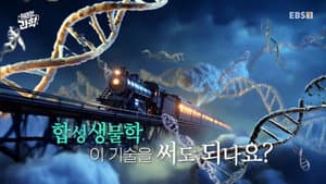 Episode 41