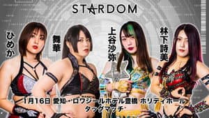 Stardom in Toyohashi