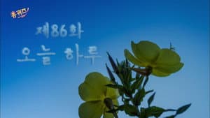 Episode 86