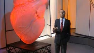 The Heart