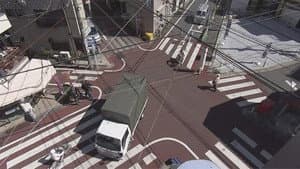 Tokyo's Crossroads of Life
