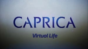 Video Blogs: Virtual Life