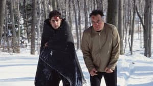Pine Barrens
