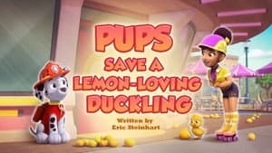 Pups Save a Lemon-Loving Duckling