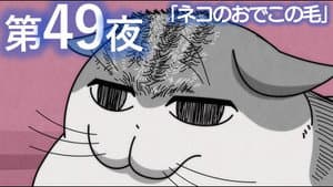 Night 49: The Fur on a Cat's Forehead