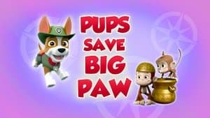 Pups Save Big Paw