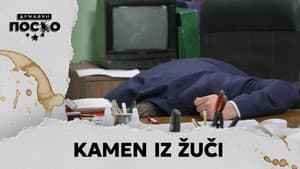 2248 Kamen iz žuči